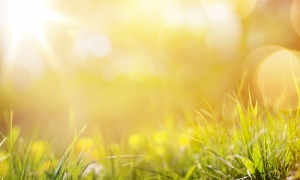 How To Plan an Unforgettable Summer Next Year How To Plan an Unforgettable Summer Next Year